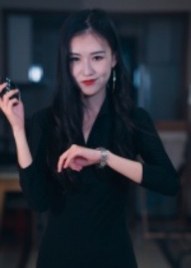 制裁者的游戏